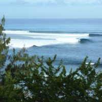 2011年から24件目となるシャークアタックがレユニオン島で発生