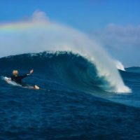 ジョンジョン・フローレンスの過去作品のハイライトシーン動画