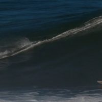 スタイルブランドのVissla！新作サーフムービー「Rolling Review」を公開