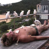 オーストラリアを舞台にスタート!「Who is JOB 9.0」エピソード1