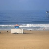 ハンティントンビーチのカメラが捉えたサメの連続ジャンプ動画