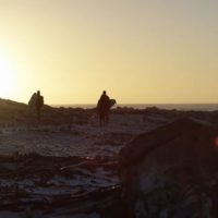 タジ・バロウなどビラボンライダーがケープタウンへ!サーフトリップ動画