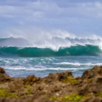 2020年CTサーファー発表!ワイルドカード決定は新しい試みを採用