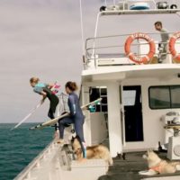 西オーストラリアの砂漠エリア!スラブを求めた女性サーファーのトリップ動画