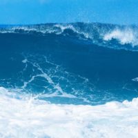 タイラー・ライトがリップカールと契約更新!リップカールライダーの動向