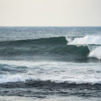 ISAが五輪最終選考を兼ねたイベントの日程保留を発表：今年後半は期待薄