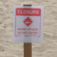 サンタクルズで週末にシャークアタックが発生：被害サーファーは他界
