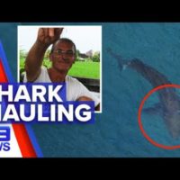 豪キングスクリフでサーファーがシャークアタックの被害を受けて他界