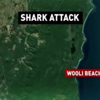 豪ウーライビーチでシャークアタック：高校生サーファーが犠牲となることに