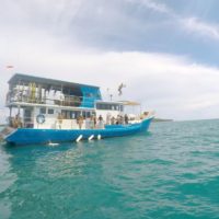 入国方法は？カリフォルニアのプロサーファーがコロナ禍にインドネシアへ