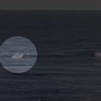 ゴールドコーストでシャークアタック発生:サーファーが致命傷を負う事に