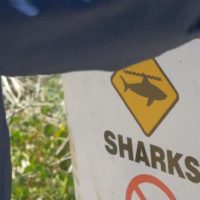 西オーストラリア南部で今年1月に続き再びのシャークアタック:サーファーが犠牲に