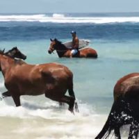 世界ベストホテルのニヒスンバ！ケリー・スレーターのスンバ島トリップ動画