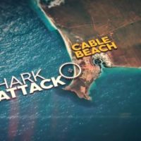 西オーストラリアでシャークアタック発生：今夏は被害件数が増加傾向予報