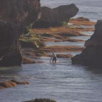 ケリー・スレーター登場の11月6日のバリ島ウルワツ!フリーサーフィン動画