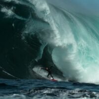 キップ・キャディがシップスターンで猛チャージ！スローモーション動画