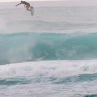 高すぎるエアーが強烈なルーク・スワンソンのノースショアサーフィン動画