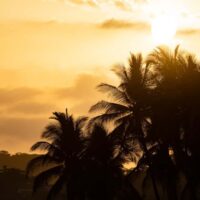 2021年ISAイベント開催直前のPCR検査で多数の新型コロナ陽性者が出ることに