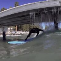 フィナーレはタホー湖でのサーフィン！「Weird Waves」シーズン3エピソード4