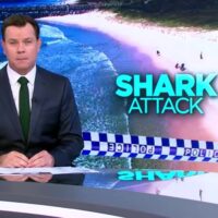 オーストラリアで2021年初となるシャークアタックでの死者が出ることに