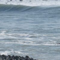 サーフィンのパドリングが早くなり楽になるプールでのトレーニング方法