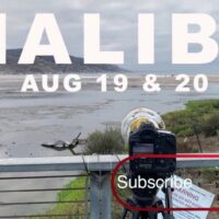 南カリフォルニアのマリブが炸裂!ルーク・デイヴィスなどのフリーサーフ動画