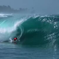 【必見】過去最大サイズのグリーンブッシュ!ニック・ヴォン・ラップのメンタワイ動画