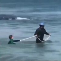 サーフィン版の面白動画SNS「Kook of the Day」の2021年コンピ動画