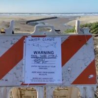 クリスマスイブにシャークアタック:カリフォルニアでボディボーダーが他界