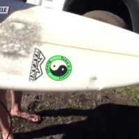 海で豚に襲われる！？ハワイのオアフ島で実際に起きた珍事件ニュース