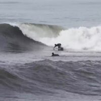 2022年2月：バリ島（インドネシア）のダイジェスト波情報動画