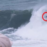 アーリーシーズンのビッグスウェル!豪デッドマンズでのフリーサーフィン動画