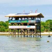 次なるイベント開催日はいつ！？GランドCTイベントの今後の波予報