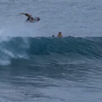 バリ島ウルワツでのイタロ・フェレイラ!現在のインドネシア入国情報