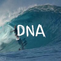 グリフィンとクロスビーのコラピント兄弟!新作サーフムービー「DNA」