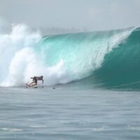 6~7月のインドネシアのメンタワイ動画!マカロニやグリーンブッシュなど