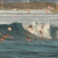 サイクロン「Gabrielle」スウェルに反応!スナッパーロックスでのフリーサーフ動画