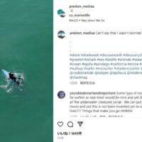 ホホジロザメがサーファーに接近！カリフォルニアで撮影されたドローン動画