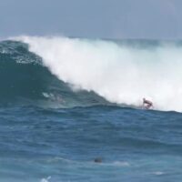 マックスアウトになった1月21日のハレイワ!CTサーファーも登場のフリーサーフ動画