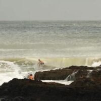 2024年に入って初のスナッパーロックス!レアな風波フリーサーフィン動画