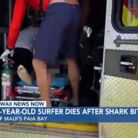2023年の年末にマウイ島でシャークアタック発生!サーファーが犠牲となる事に