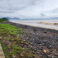 2023年に世界で発生したシャークアタック件数：エリアやアクティビティ別データ