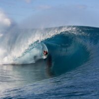 チョープーとクラウドブレイクにケリーが出場！シーズンワイルドカードなど