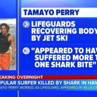 元プロサーファーのタマヨ・ペリーがオアフ島でのシャークアタック被害で他界
