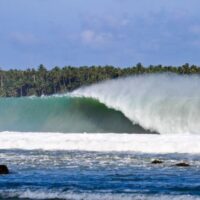 コンテストでベストコンディション!現在開催中の2024年ニアスプロの波が大炸裂