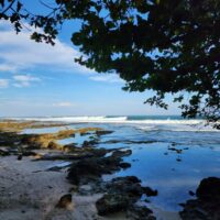 ジャワ島西部のチマジャエリア！サイズアップしたチマジャとサワルナの動画