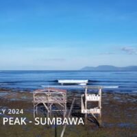 ベティルー・サクラ・ジョンソンも登場!スンバワ島レイキーエリアでのフリーサーフ動画