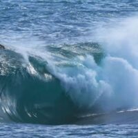 ネイザン・フローレンスが再び挑んだ西オーストラリア州ミュータントウェイブ動画