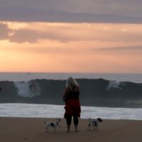 パドルインのパーフェクトコンディションになったナザレ!フリーサーフィン動画