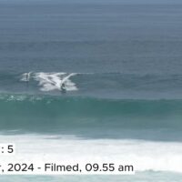 2024年シーズンのバリ島ウルワツで発生したロングホールドダウン動画
